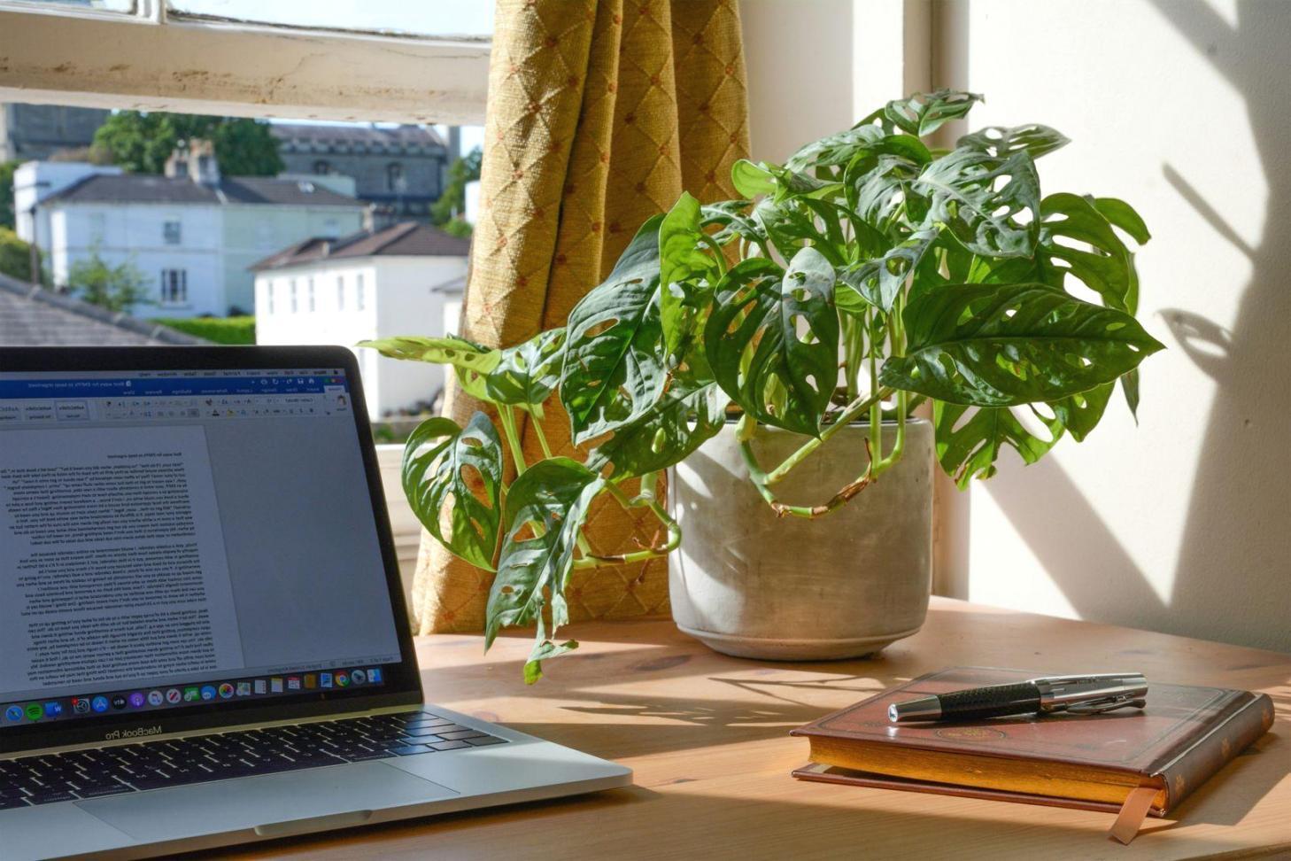 Finanzexperten bei der Arbeit an Budget-Analyse